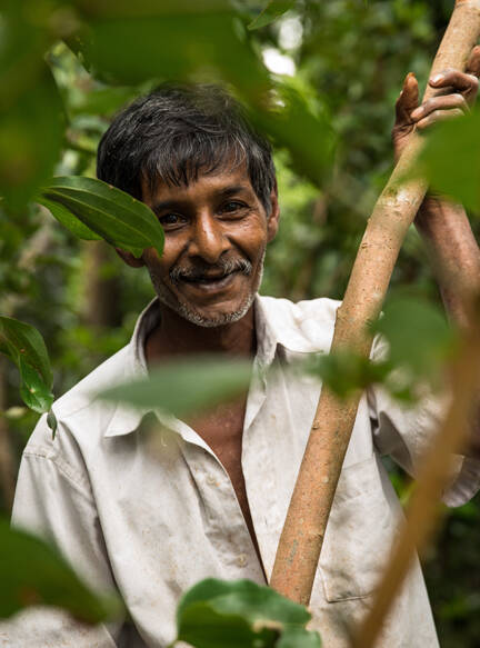 ets-farmer-homepage-size-432-x-583.jpg